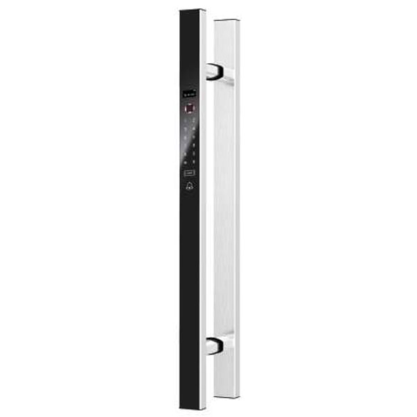 Smart Electric Handle Lock (Single)