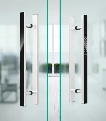 Smart Electric Door Lock